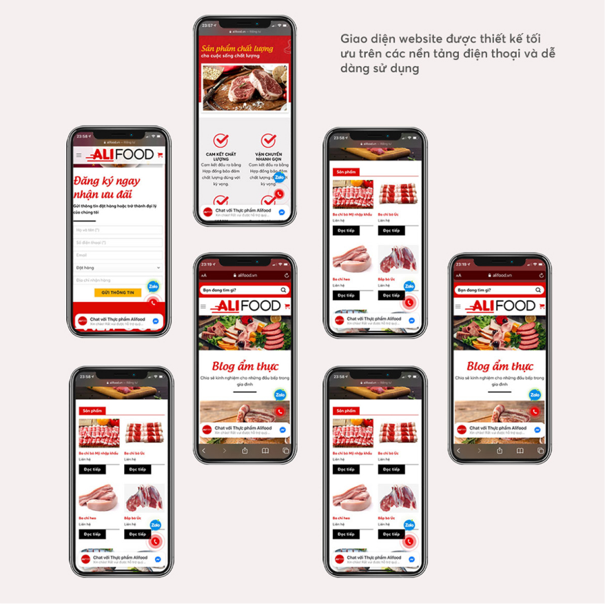 thiết kế website thực phẩm alifood